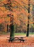 Postkarte Herbst Bank