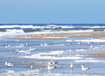 Landschaft Postkarten | Strand und Meer Postkarte