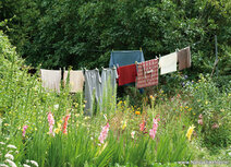 Landschaft Postkarten | Wäscheleine Postkarte