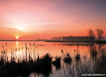 Sonnenaufgang Leekstermeer Postkarte