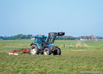 Traktor Postkarten | NewHolland TM115 Traktor Postkarte 