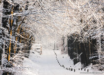 Winter Postkarte - lane