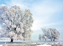 Winter in Lauwersmeer Postkarte