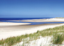 Natur Postkarten | Slufter auf Texel Postkarte