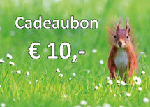 Geschenkgutschein für Karten und Stickerbögen 10,00 €