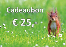 Geschenkgutschein für Karten und Stickerbögen 25,00 €