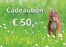 Geschenkgutschein für Karten und Stickerbögen 50,00 €