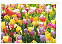 Blanko Grußkarten | Blumen Grußkarte