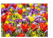 Blanko Grußkarten | Blumen Grußkarte