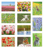 Blanko Grußkarten Set