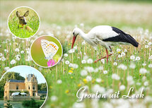 Postkarten Groningen | Postkarte Leek 002