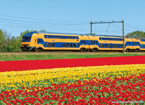 Eisenbahn Postkarten | Postkarte NS Zug mit Tulpen