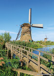 Postkarte Nederwaard Mühle Nr.5