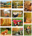 Herbst Postkarten Set | 11 Postkarten mit Herbstmotive Herbst Postkarten Set | 11 Postkarten mit Herbstmotive