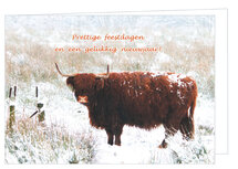 Weihnachtskarte Schottisches Hochlandrind Weihnachtskarte Schottisches Hochlandrind