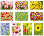 Blanko Grußkarten Set 