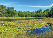 Fotoworkshop Hoogeveen Fotoworkshop Hoogeveen