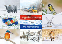Postcrossing Postkarten | Postkarte Happy Postcrossing winter