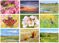 Natur Postkarten Set Natur Postkarten Set