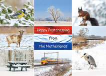 Postcrossing Postkarten | Postkarte Happy Postcrossing winter