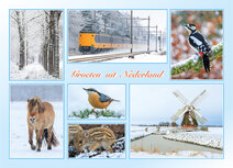 Postcrossing Postkarten | groeten uit Nederland Postkarte