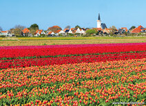 Landschaft Postkarten | Kirche den Hoorn Postkarte