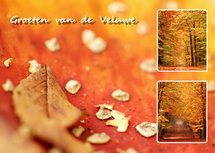 Postkarte Veluwe 009 (VE009) Postkarte Veluwe 009 (VE009)