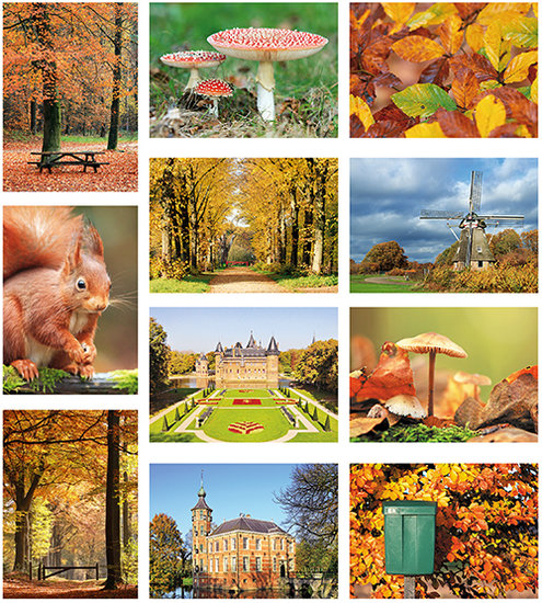 Postkarten Set Herbst