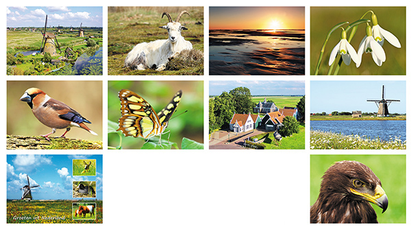 Postkartenset Niederlandischen Postkartenset Niederlandischen