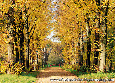 Herfstkaarten, ansichtkaart herfst laan, postcard Autumn lane, postkarte Herbst lane