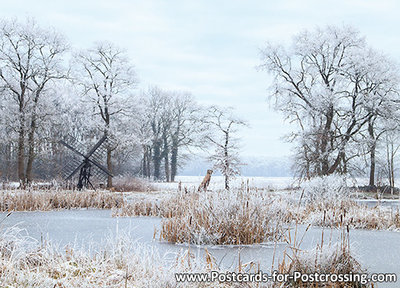 ansichtkaart winter tjasker Bolleveen Zeijen, postcard winter landscape, Postkarte winter landschaft