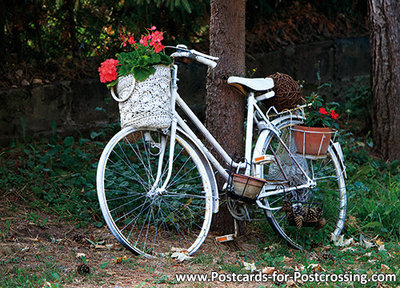 ansichtkaart fiets, postcard bicycle, postkarte Fahrrad