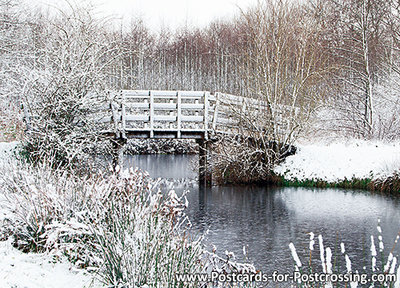 ansichtkaart bruggetje in de winter - Eernewoude, bridge in winter, Brücke im Winter