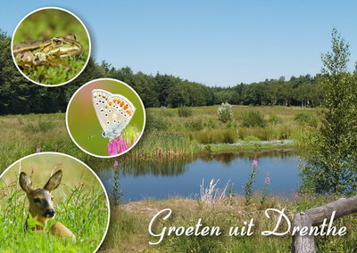 Ansichtkaart groeten uit Drenthe, Postcard greetings from Drenthe, Postkarte Grüße von Drenthe
