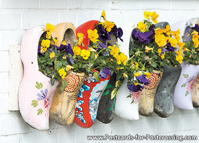 ansichtkaart typisch nederlands klompen met bloemen