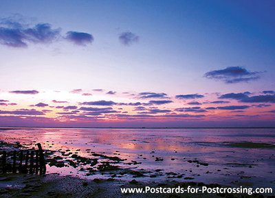 Ansichtkaart Waddenzee kaart- postcard sunset Wadden sea - postkarte Sonnenuntergang Wattenmeer
