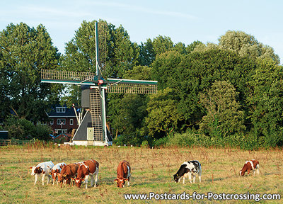 Ansichtkaart van de Schoterveense molen in Haarlem