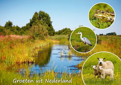 Postkarte Groeten uit Nederland 005