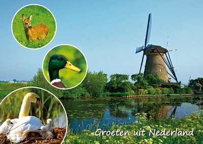 Ansichtkaart Groeten uit Nederland 003