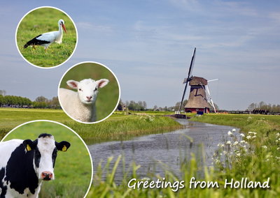 ansichtkaart / postcard Greetings from Holland