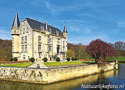 ansichtkaart kasteel Schaloen in Oud Valkenburg, postcard castle Schaloen, Postkarte Schloss Schaloen
