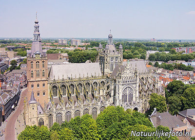 ansichtkaart sint janskathedraal in 's-hertogenbosch