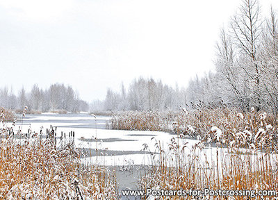 ansichtkaart winterslandschap, winter landscape postcard, Postkarte Winterlandschaft