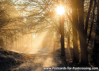 Ansichtkaart zonsondergang Dwingelderveld, postcard sunset Dwingelderveld, Postkarte Sonnenuntergang Dwingelderveld