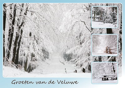Ansichtkaart Veluwe in de winter, postcard Veluwe in winter, Postkarte Veluwe in winter