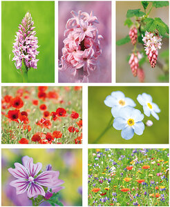 Postkaarten / ansichtkaarten set bloemen