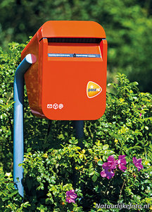 Ansichtkaart brievenbus PostNL, postcard mailbox PostNL, postkarte Briefkasten PostNL