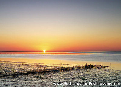 ansichtkaart zonsopkomst Waddenzee