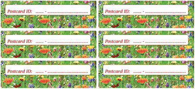 Postcrossing postcard ID stickers - 6x bloemen