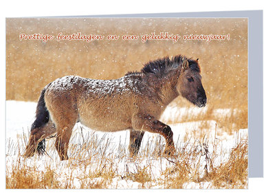 Kerstkaart Konik paard in de sneeuw